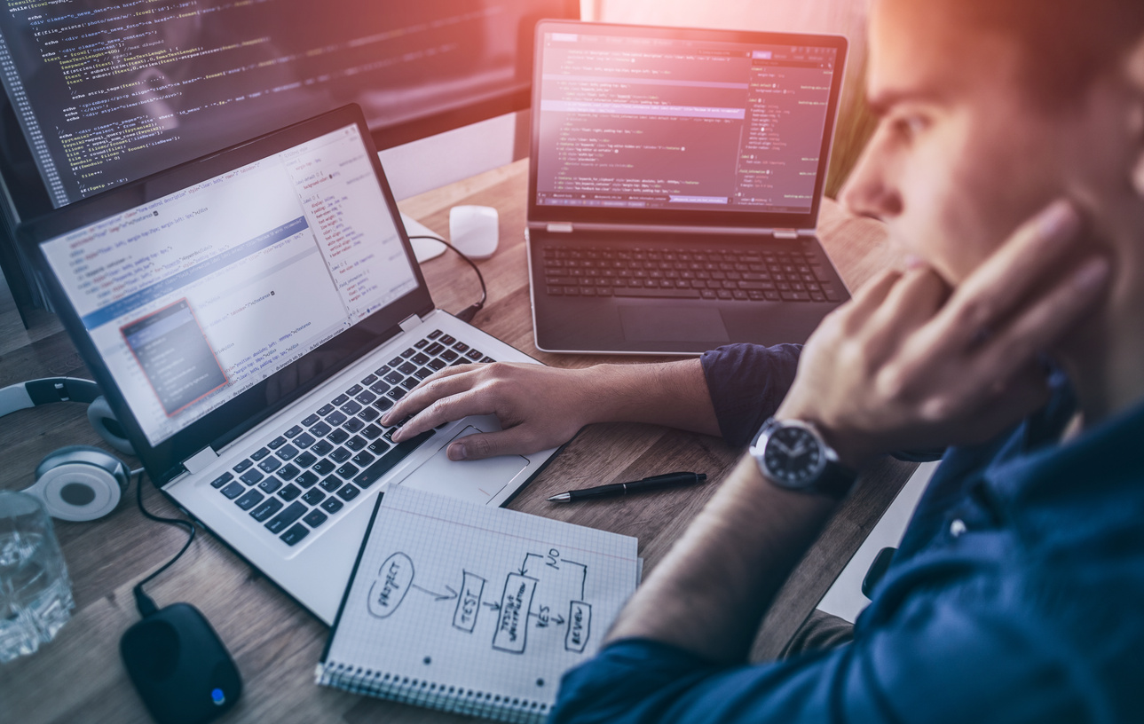 Developer at Work